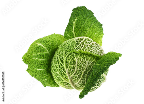 Savoy cabbage isolated on white background
