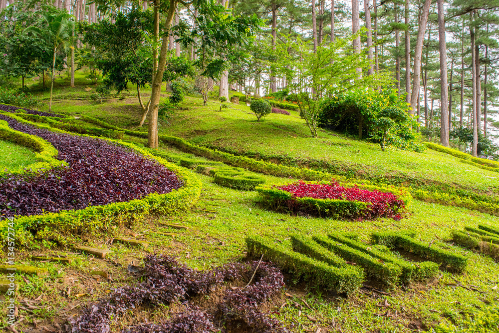 Landscape design of relax tropical garden