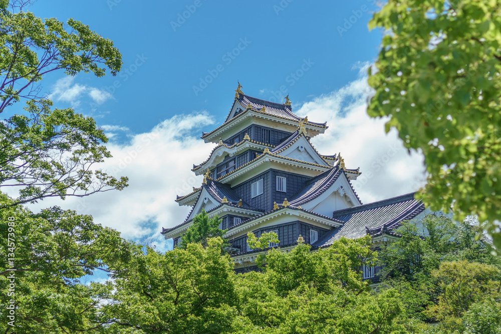 Okayama castle behind trees, Japan. Side view Okayama castle behind trees, Japan. Side view