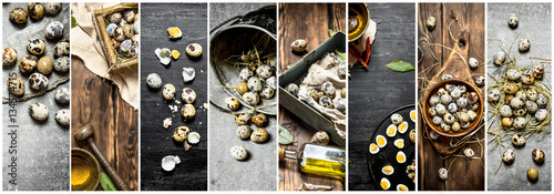 Fotografia Food collage of quail eggs .