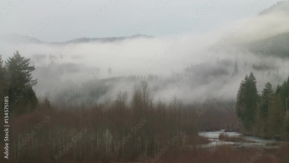 Upslope Fog on Mountain Hillside