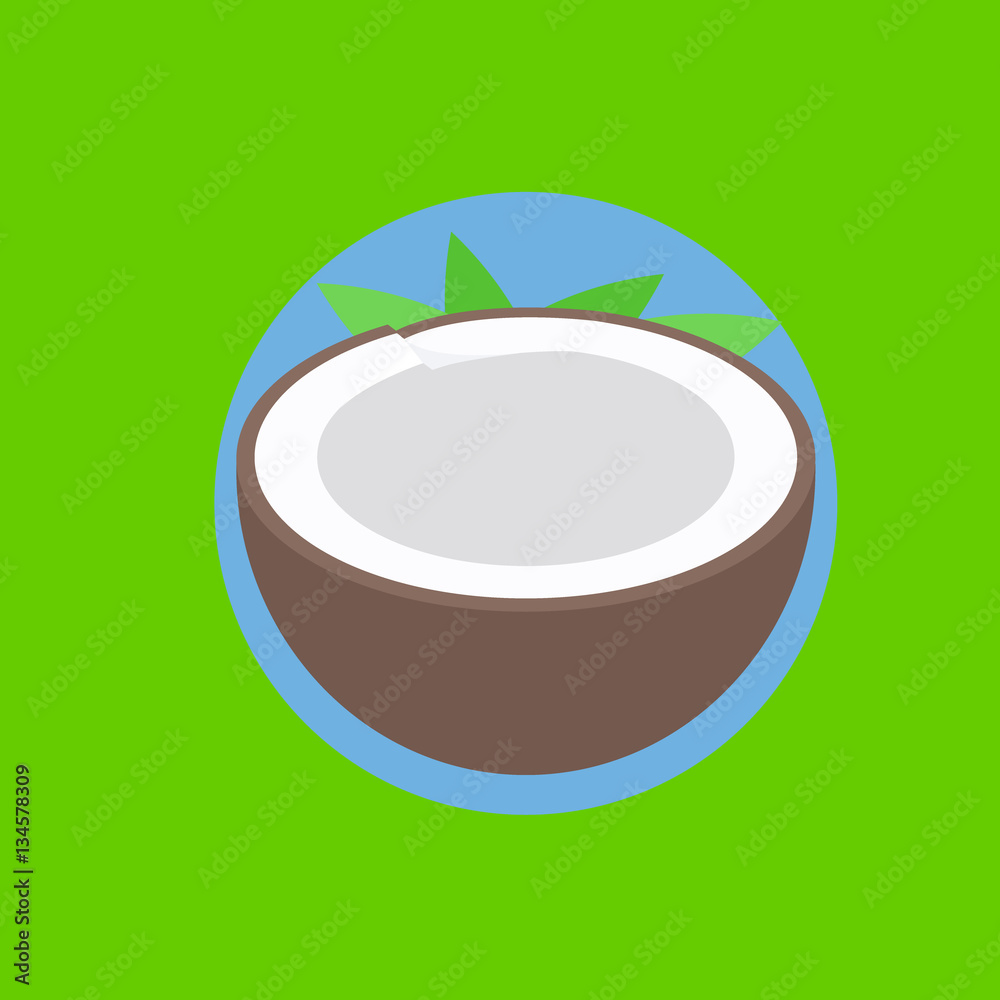 coconut icon fat disign