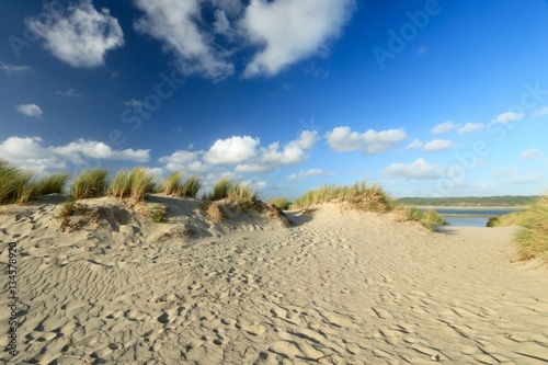 Canvas Print dunes of the Touquet côte d 'Opale , pas de Calais, hauts de France , France