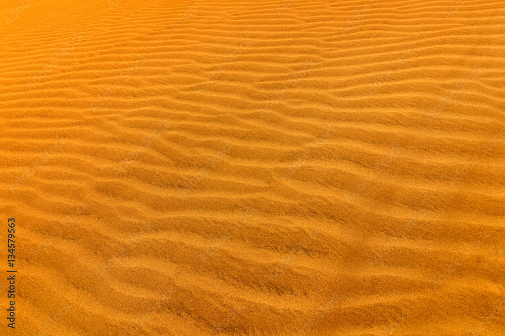 Detail of sand dune in desert. Summer dry landscape in Africa. Sand waves in the wild nature. Dunas Maspalomas, Gran Canaria, Spain. Yellow sand on the island. close-up photo of yellow orange sand. Detail of sand dune in desert. Summer dry landscape in Africa. Sand waves in the wild nature. Dunas Maspalomas, Gran Canaria, Spain. Yellow sand on the island. close-up photo of yellow orange sand.