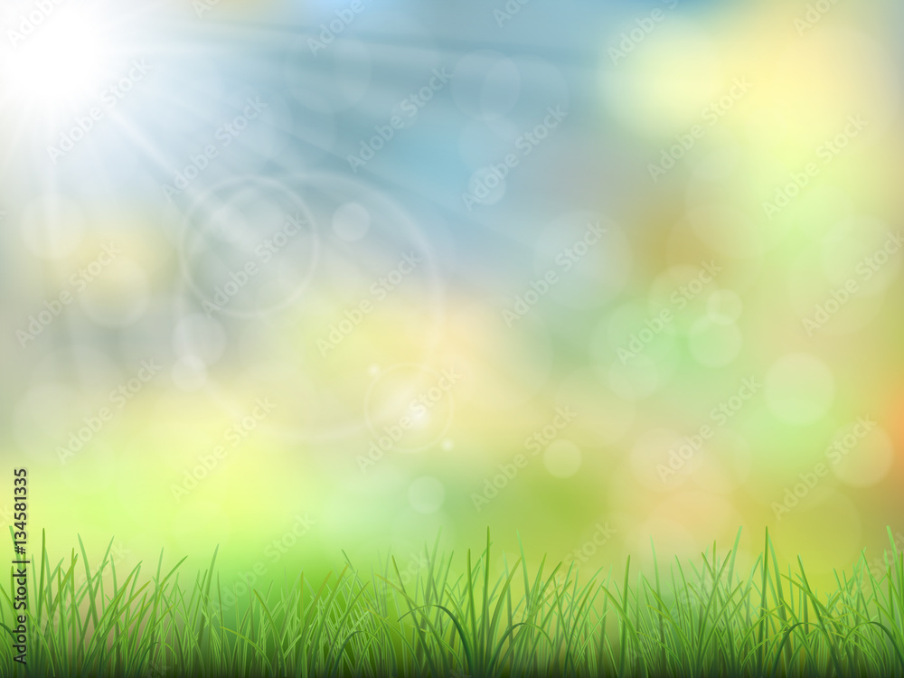 Vector spring nature background. Green grass and sun beam. Bokeh effect and flare.