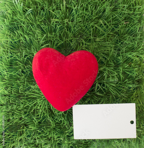 Red heart on green grass with card for text