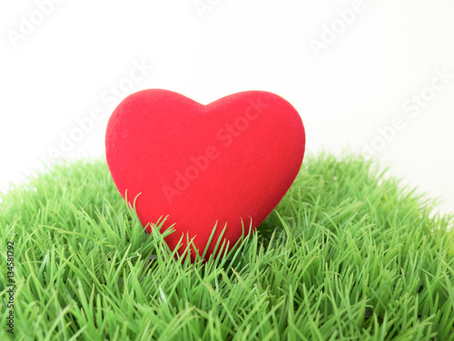 Red heart in green grass on white background