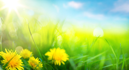 art abstract spring background or summer background with fresh g