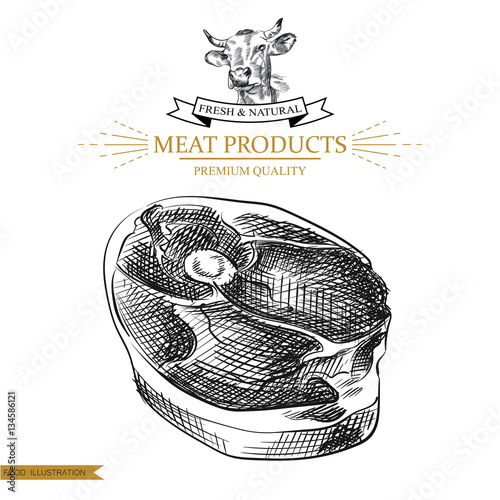 Sketch meat steak on white background. Hand drawn meat elements Retro style poster with cow banner vector illustration. Use for butcher shop, livestock farm.