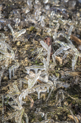 Wood log frozen on a grass field