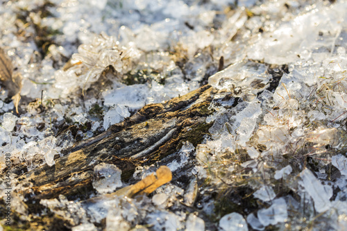 Close up of a frozen nature grass field with ice and herbs