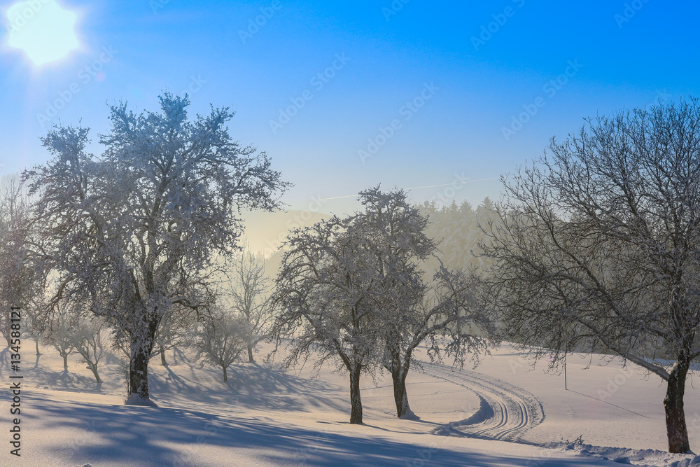 Winter, Alpen, Österreich, Langlauf Winter, Alpen, Österreich, Langlauf