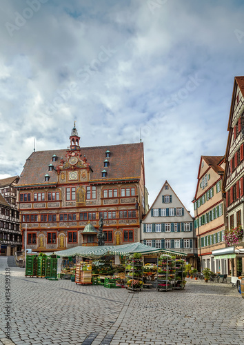 Market Square, Tubingen, Germany
