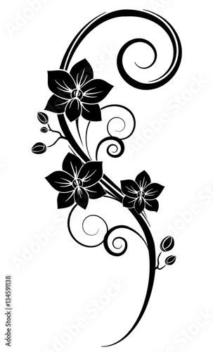 Fototapeta Naklejka Na Ścianę i Meble -  Orchids wall tattoo black
