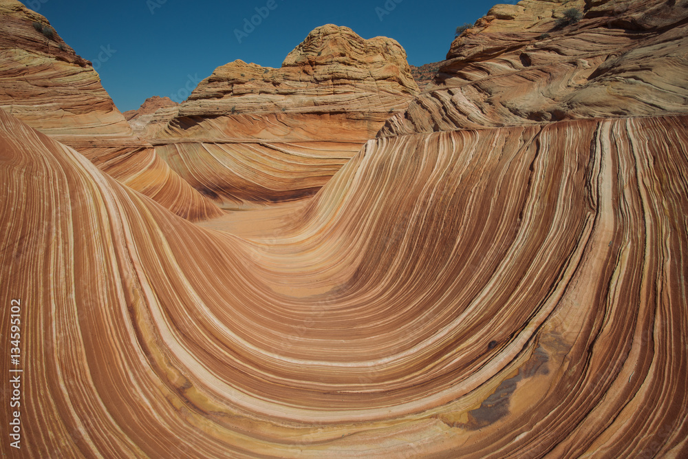 Arizona Wave - Famous Geology rock formation in Pariah Canyon, b