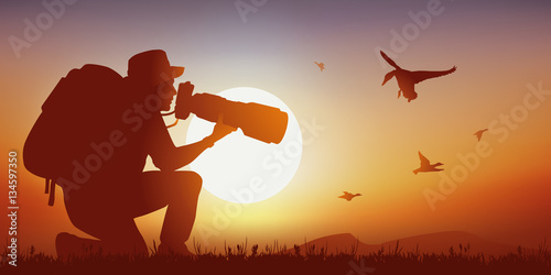 Photographe Animalier - Canard - Coucher de soleil