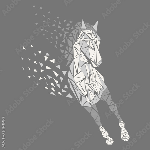 Horse particles icon