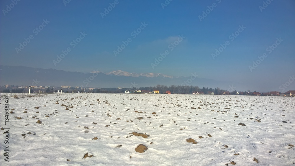 Fototapeta premium Landwirtschaftliche Flächen im Winter