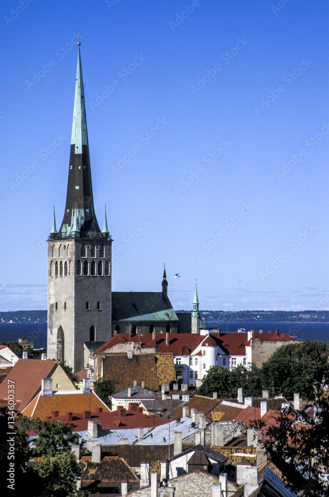 City view, Lower Town, Estonia, Tallinn