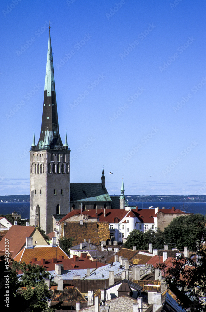 Obraz premium City view, Lower Town, Estonia, Tallinn