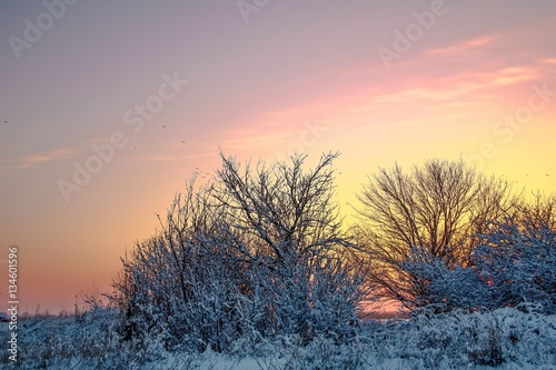 Fantastic evening winter landscape. Dramatic overcast sky. Creative collage. Beauty world.