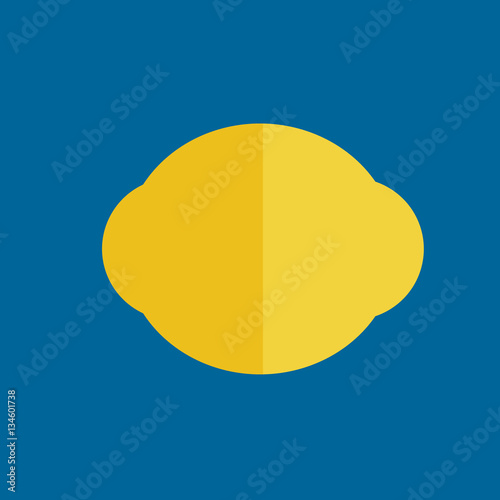 lemon icon flat disign