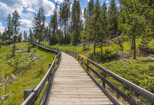 path way in geyser area, in Yellowstone National park,Wyoming,us