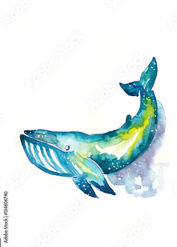 ocean, whale, animal, illustration, watercolor, isolated, space, blue, sea, universe, nature, underwater, water, drawing, aquatic, fish, tail, cosmos, wildlife, star, design, hand, marine, art, graphi