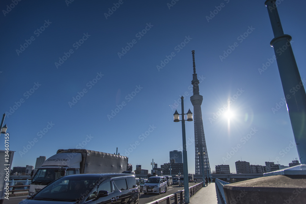 Fototapeta premium スカイツリーと太陽