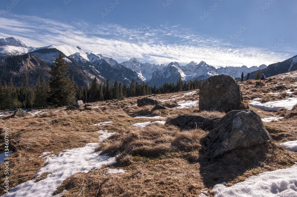 Mountain glade in the Tatra Mountains on a beautiful sunny day