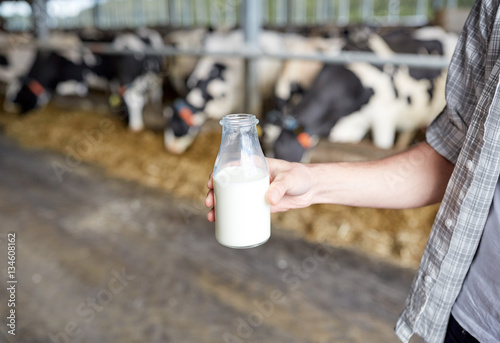 close up of man or farmer with milk on dairy farm photo