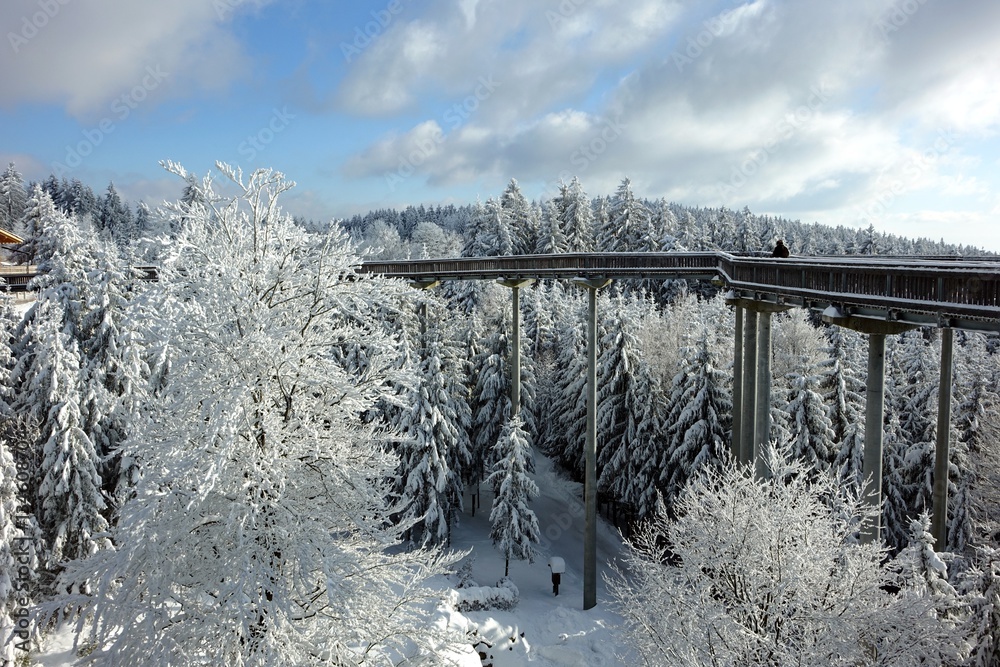 Naklejka premium winter im bayerischen wald - waldwipfelweg - sankt englmar