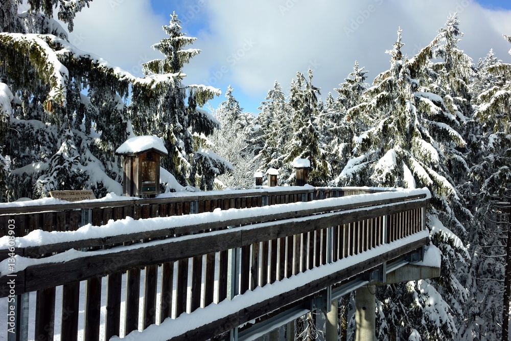 Naklejka premium winter im bayerischen wald - sankt englmar