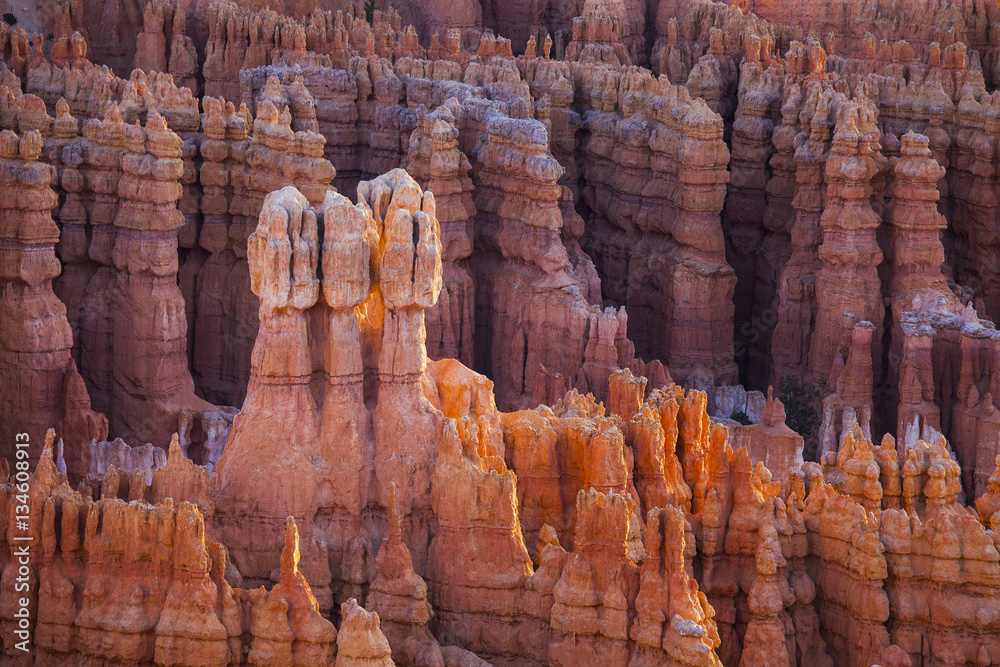 rocks sculpted by wind and rain in Bryce Canyon Stock Photo | Adobe Stock