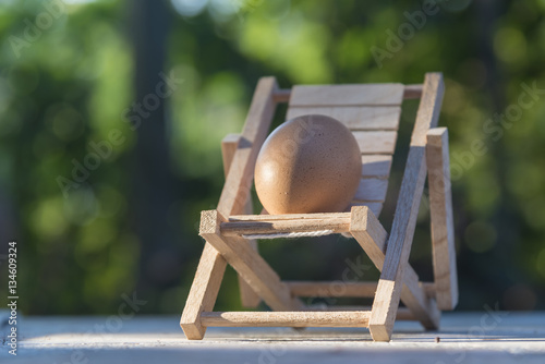natural hen egg