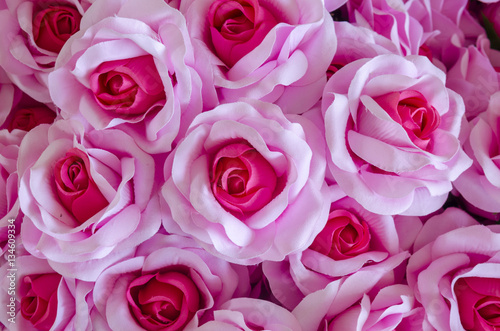 rose flower background for Valentine's Day