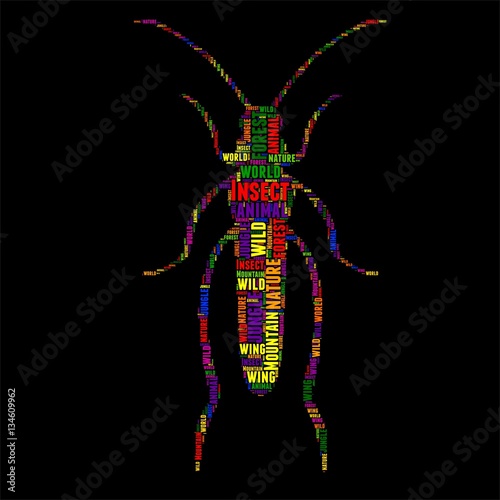 Insect Typography word cloud colorful Vector illustration
