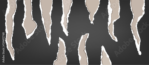 Torn paper sets tracing from real paper Vector Illustration