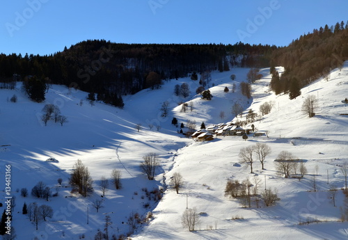 Schwarzwaldwinterlandschaft photo