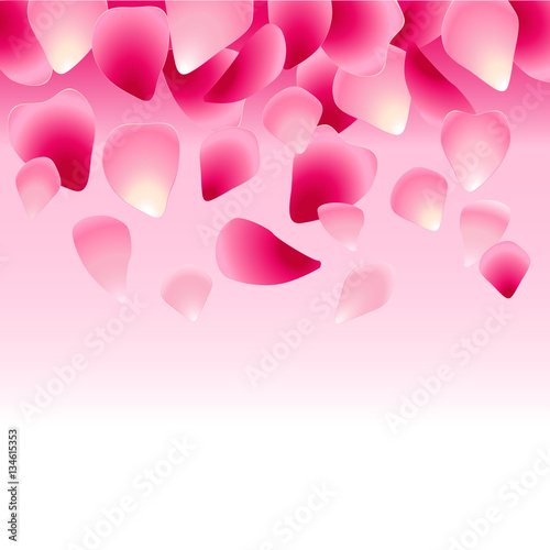 floral pink background decorated with rose petals
