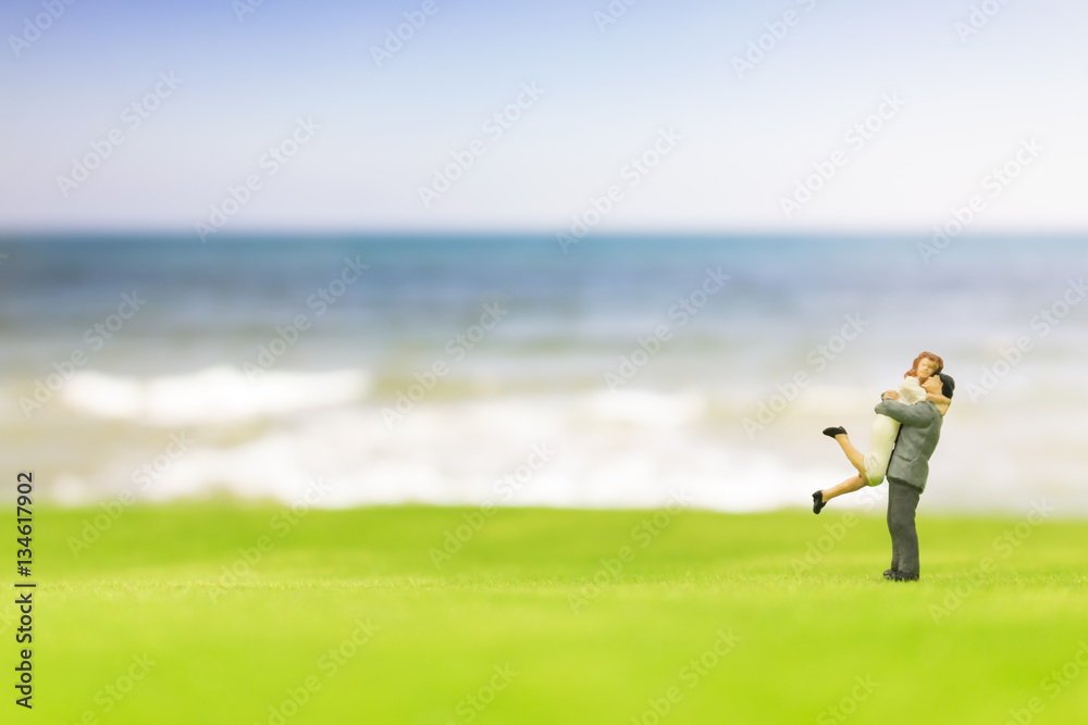 Miniature couple on the beach background