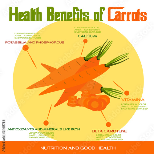 carrot health benefits, info graphic vegetable, food vector