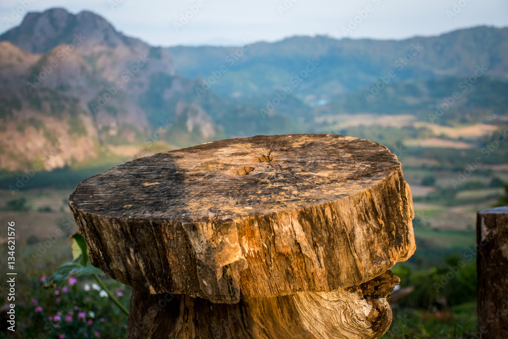 Wood chair on the natural