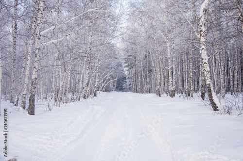 Winter russian forest snow road