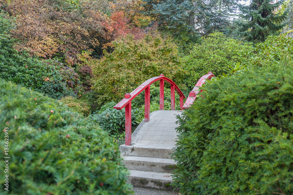curved red bridge in Japanese garden curved red bridge in Japanese garden