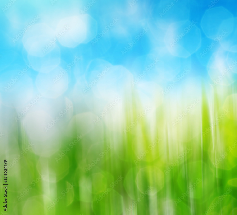 Obraz premium Blurry green grass and sky. Abstract spring natural background with beauty bokeh.