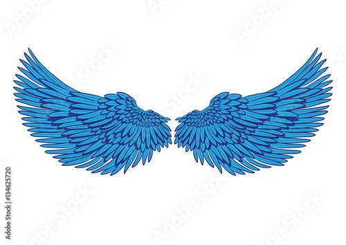 vector pair of blue wings isolated on white