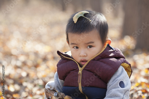Chinese baby boy playing in ginkgo woods
