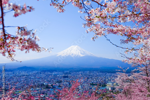 Canvas Print Mt. Fuji with Japanese Cherry Blossoms at  Japan