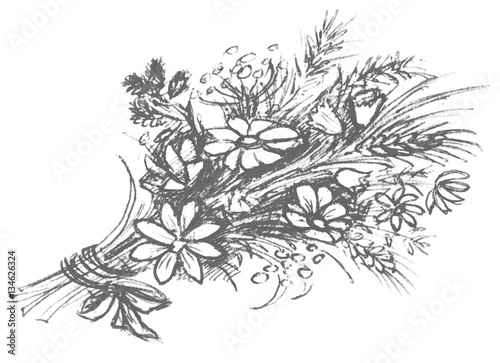 a bouquet of wildflowers. Hand drawn sketched art.